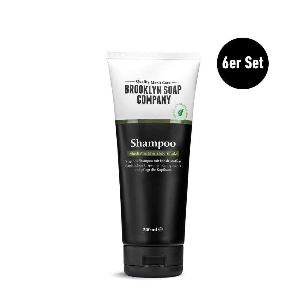 6x Shampoo
